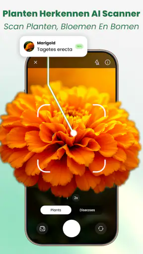 Planten Herkennen: AI Scanner screenshot