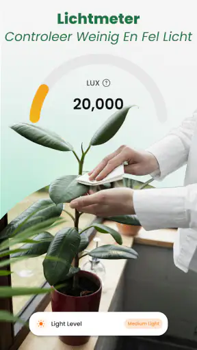 Planten Herkennen: AI Scanner screenshot