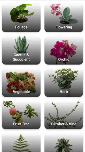 Plantenziekte screenshot