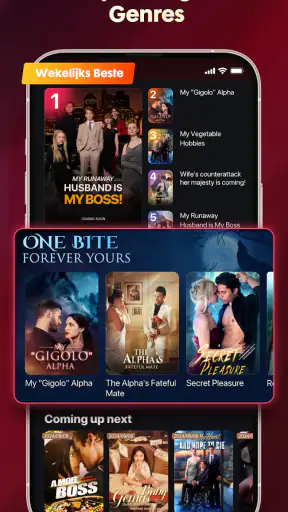 Playlet:Bekijk korte & TV screenshot