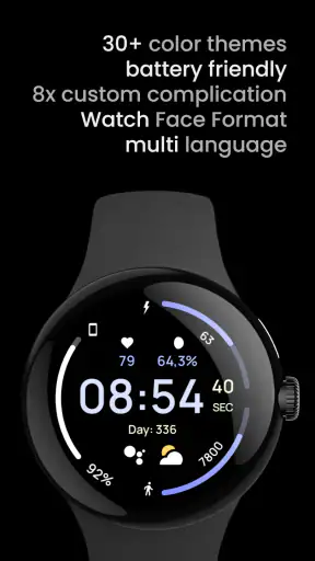 Pulse Watch Face screenshot