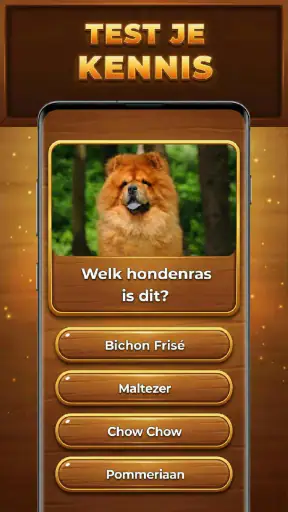 Quiz-Boom: Trivia Blocks screenshot