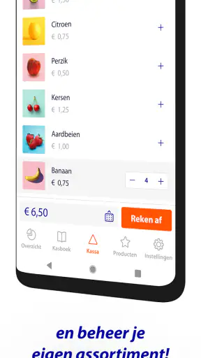 Rabo SmartPin screenshot