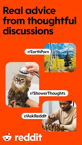Reddit screenshot