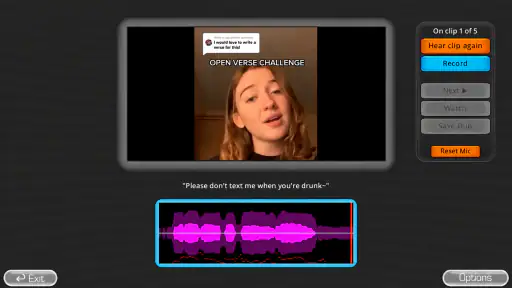 The Choicer Voicer Game screenshot