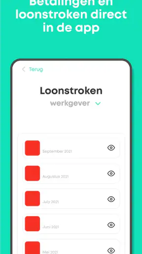 Tigris: Werk & Vacatures screenshot