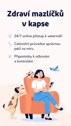 tlappka - veterináři online screenshot