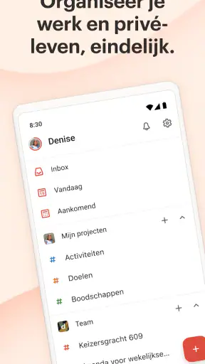 Todoist: to do-list & agenda screenshot