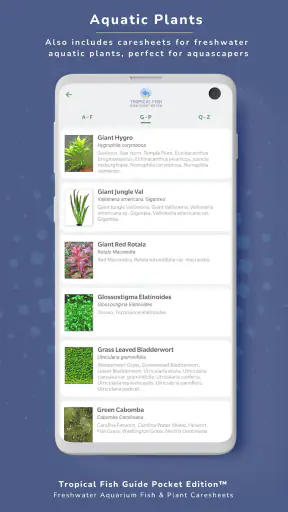 Tropical Fish Guide Pocket Ed. screenshot