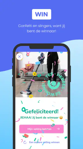 VakantieVeilingen - Dagje uit screenshot
