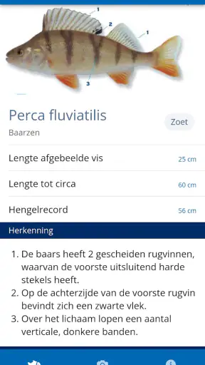 Vissengids screenshot