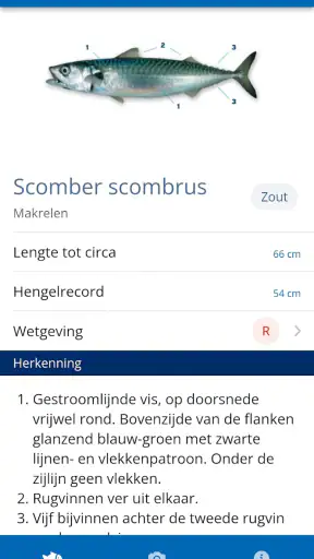 Vissengids screenshot