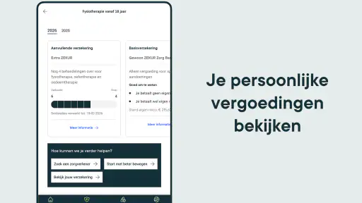 ZEKUR Zorg screenshot
