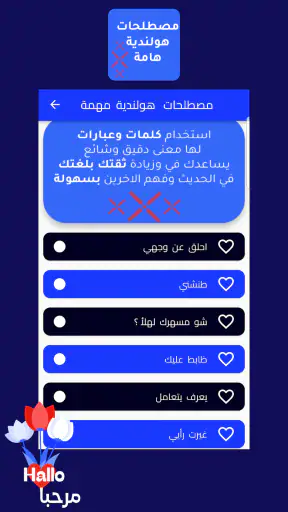 هاي هولندرتعلم اللغة الهولندية screenshot