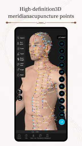 Acupuncture Master screenshot