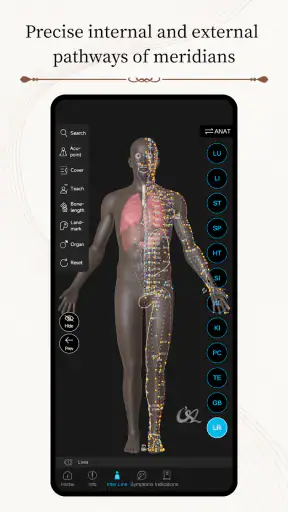 Acupuncture Master screenshot