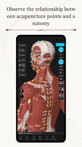 Acupuncture Master screenshot
