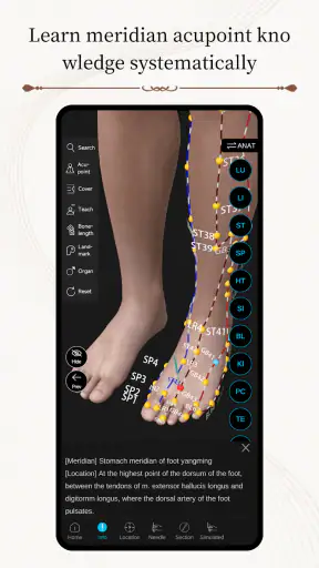 Acupuncture Master screenshot