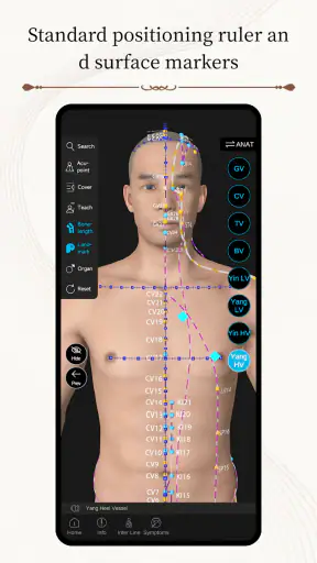 Acupuncture Master screenshot