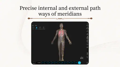 Acupuncture Master screenshot