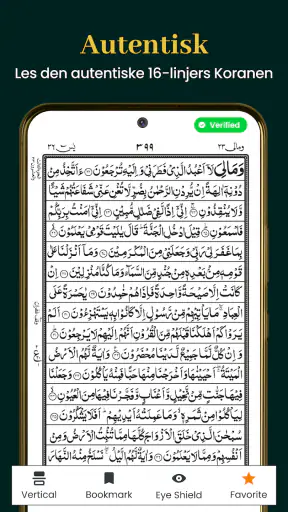 Al Quran Kareem 16 Linjer screenshot