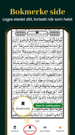 Al Quran Kareem 16 Linjer screenshot