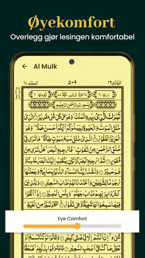 Al Quran Kareem 16 Linjer screenshot