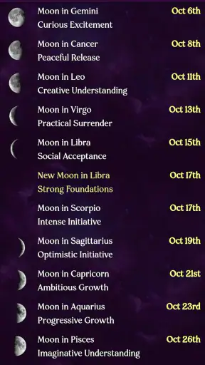 AstroMatrix Birth Horoscopes screenshot