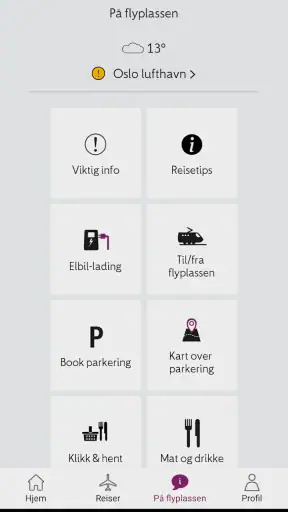 Avinor screenshot