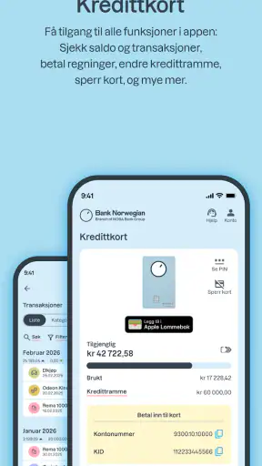 Bank Norwegian screenshot