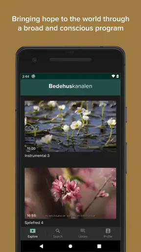 Bedehuskanalen screenshot