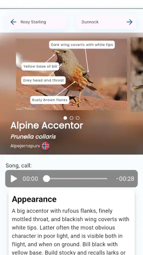 BirdID screenshot