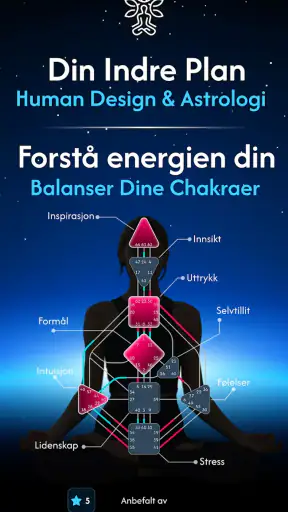 Chakragram: My Human Design AI screenshot