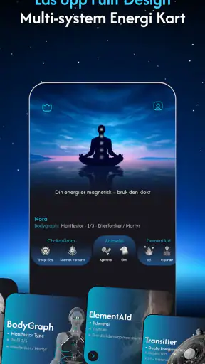 Chakragram: My Human Design AI screenshot
