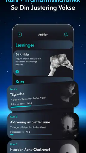 Chakragram: My Human Design AI screenshot