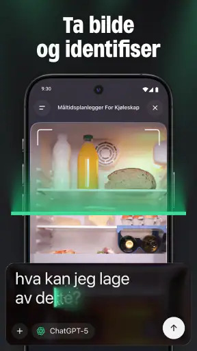 ChatGO – AI Chat på Norsk screenshot