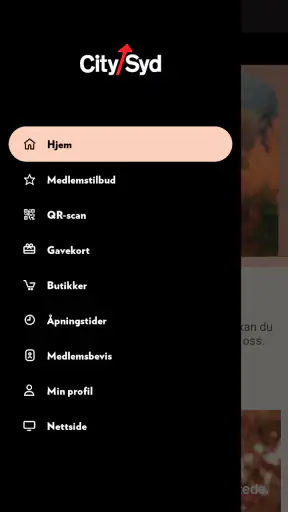 City Syd screenshot