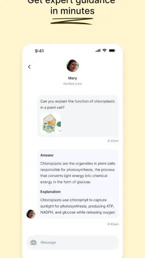 Course Hero: AI Homework Help screenshot