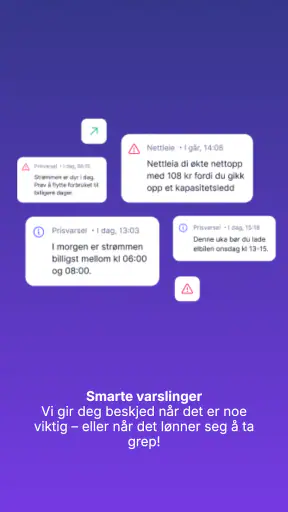 Elekt - Strømvakta screenshot