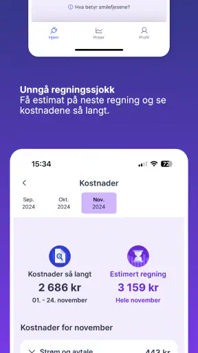 Elekt - Strømvakta screenshot