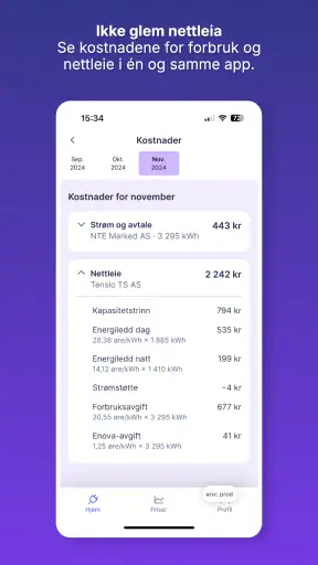 Elekt - Strømvakta screenshot