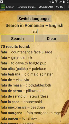 English–Romanian Dictionary screenshot