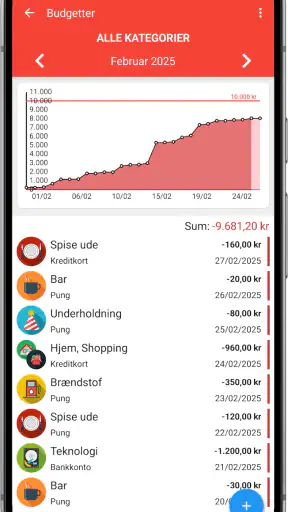 Fast Budget - Udgiftschef screenshot