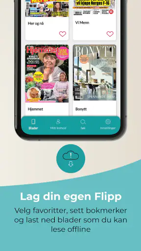 Flipp Norge screenshot