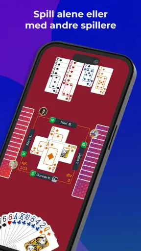 Fun Bridge screenshot