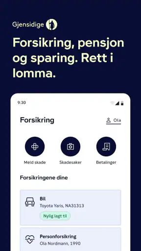 Gjensidige screenshot