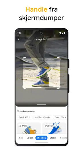 Google screenshot