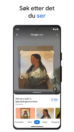 Google screenshot