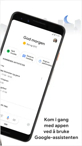 Google Assistent screenshot