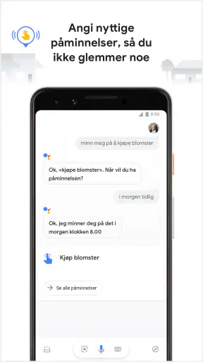 Google Assistent screenshot